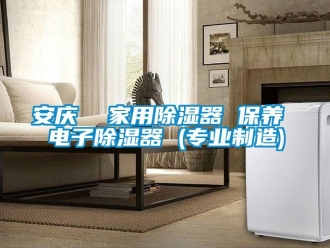 企業新聞安慶  家用除濕器 保養 電子除濕器 (專業制造)
