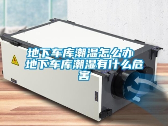 企業新聞地下車庫潮濕怎么辦 地下車庫潮濕有什么危害