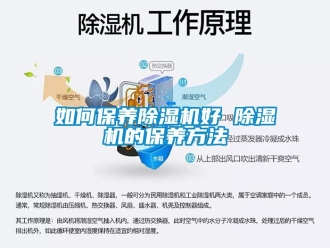 行業(yè)新聞如何保養(yǎng)除濕機(jī)好 除濕機(jī)的保養(yǎng)方法