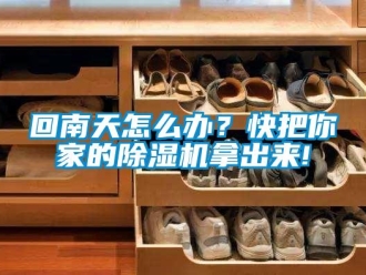 行業(yè)新聞回南天怎么辦？快把你家的除濕機拿出來!