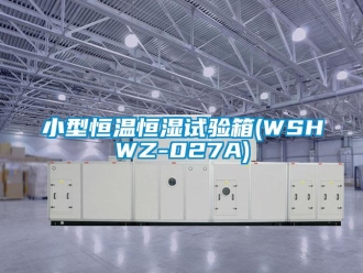 知識百科小型恒溫恒濕試驗箱(WSHWZ-027A)