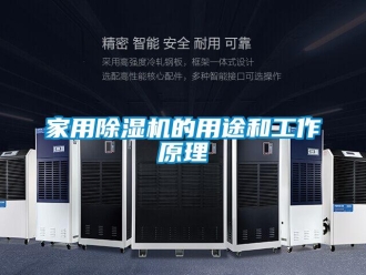 行業新聞家用除濕機的用途和工作原理