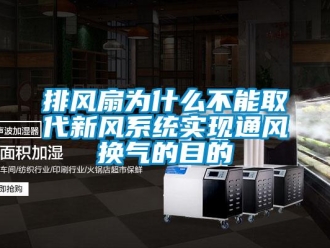行業新聞排風扇為什么不能取代新風系統實現通風換氣的目的