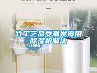 知識百科竹工藝品受潮發霉用除濕機解決