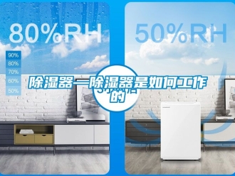 行業新聞除濕器—除濕器是如何工作的
