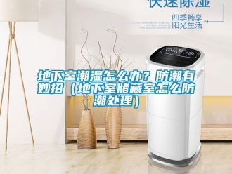 企業(yè)新聞地下室潮濕怎么辦？防潮有妙招（地下室儲(chǔ)藏室怎么防潮處理）