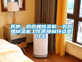 行業新聞其他：鸚鵡螺除濕機—鸚鵡螺除濕機工作原理和特點是什么