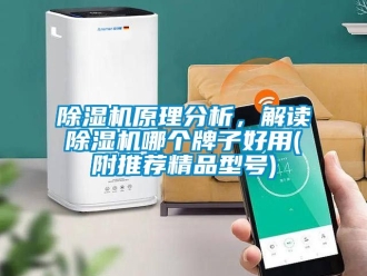 行業(yè)新聞除濕機(jī)原理分析，解讀除濕機(jī)哪個(gè)牌子好用(附推薦精品型號(hào))