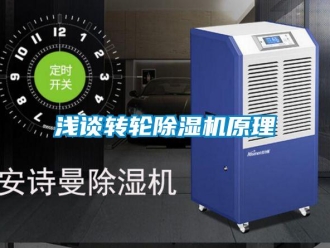 行業(yè)新聞淺談轉(zhuǎn)輪除濕機(jī)原理