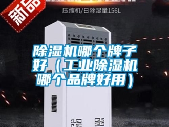 常見問題除濕機(jī)哪個牌子好（工業(yè)除濕機(jī)哪個品牌好用）