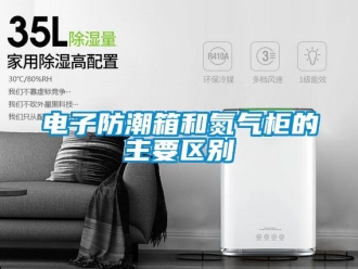 常見問題電子防潮箱和氮氣柜的主要區別