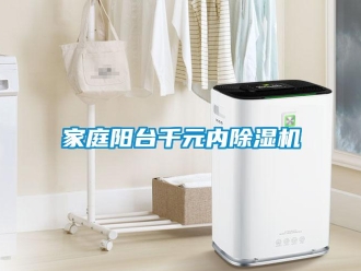 行業新聞家庭陽臺千元內除濕機