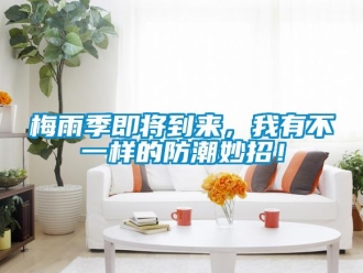 行業新聞梅雨季即將到來，我有不一樣的防潮妙招！