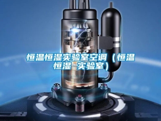 知識(shí)百科恒溫恒濕實(shí)驗(yàn)室空調(diào)（恒溫恒濕 實(shí)驗(yàn)室）