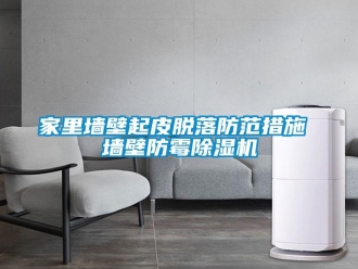 行業(yè)新聞家里墻壁起皮脫落防范措施 墻壁防霉除濕機(jī)