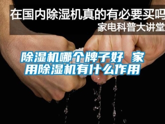 常見問題除濕機(jī)哪個牌子好 家用除濕機(jī)有什么作用