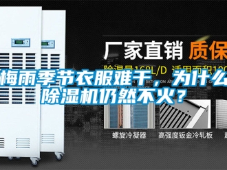 行業(yè)新聞梅雨季節(jié)衣服難干，為什么除濕機(jī)仍然不火？