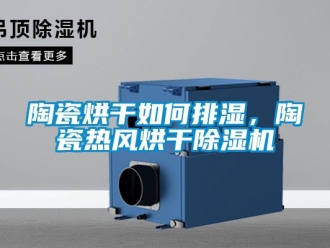 行業(yè)新聞陶瓷烘干如何排濕，陶瓷熱風(fēng)烘干除濕機