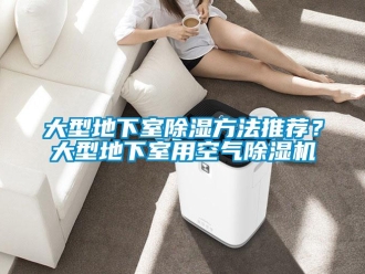 行業(yè)新聞大型地下室除濕方法推薦？大型地下室用空氣除濕機(jī)