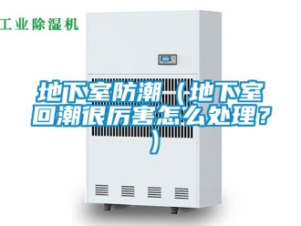 企業(yè)新聞地下室防潮（地下室回潮很厲害怎么處理？）