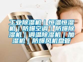 企業新聞工業除濕機｜恒溫恒濕機｜防爆空調｜防爆除濕機｜調溫除濕機｜加濕機｜防爆風機盤管