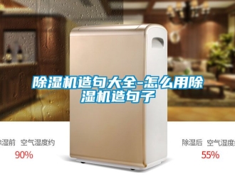 行業新聞除濕機造句大全-怎么用除濕機造句子