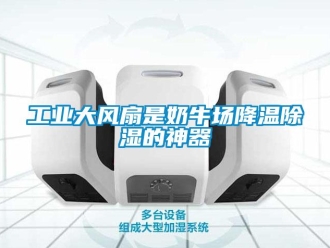 企業新聞工業大風扇是奶牛場降溫除濕的神器