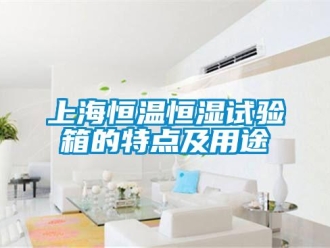 知識百科上海恒溫恒濕試驗箱的特點及用途
