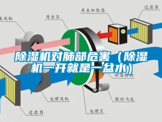 行業(yè)新聞除濕機(jī)對(duì)肺部危害（除濕機(jī)一開就是一盆水）