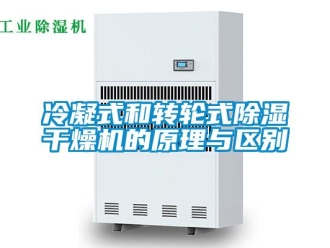行業新聞冷凝式和轉輪式除濕干燥機的原理與區別