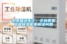 陰雨破壞生產，企業需要工業除濕機來解決問題