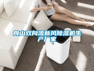 企業(yè)新聞舟山雙向流新風(fēng)除濕機(jī)生產(chǎn)廠家