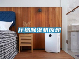 行業新聞壓縮除濕機原理