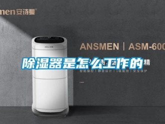 行業(yè)新聞除濕器是怎么工作的