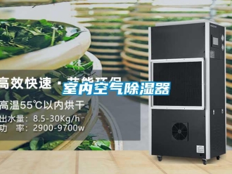 行業新聞室內空氣除濕器