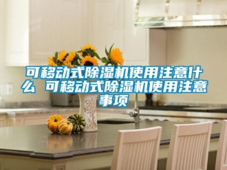 行業(yè)新聞可移動(dòng)式除濕機(jī)使用注意什么 可移動(dòng)式除濕機(jī)使用注意事項(xiàng)