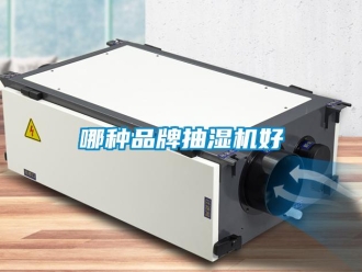 企業(yè)新聞哪種品牌抽濕機好