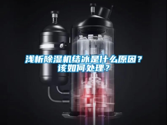 行業新聞淺析除濕機結冰是什么原因？該如何處理？