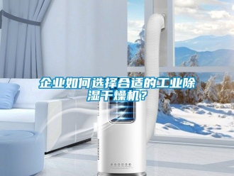 常見問題企業如何選擇合適的工業除濕干燥機？