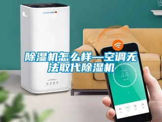 行業(yè)新聞除濕機怎么樣—空調(diào)無法取代除濕機