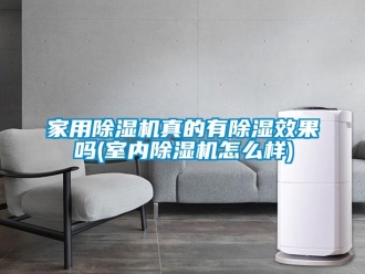 常見問題家用除濕機真的有除濕效果嗎(室內(nèi)除濕機怎么樣)