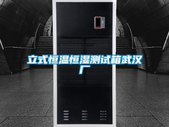 知識(shí)百科立式恒溫恒濕測(cè)試箱武漢廠