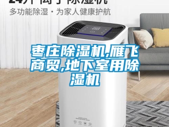 行業新聞棗莊除濕機,雁飛商貿,地下室用除濕機