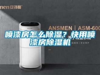 行業新聞噴漆房怎么除濕？快用噴漆房除濕機