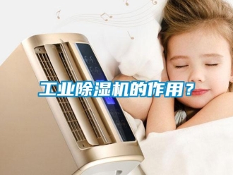 企業新聞工業除濕機的作用？
