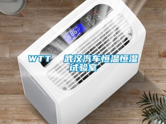 常見問題WTT  武漢汽車恒溫恒濕試驗室
