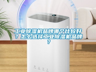 常見問題工業除濕機品牌哪個比較好？怎么選擇工業除濕機品牌？