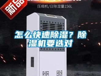 行業新聞怎么快速除濕？除濕機要選對