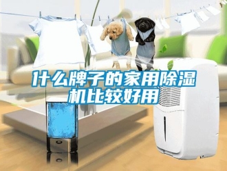 常見問題什么牌子的家用除濕機比較好用