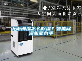 常見問題下雨潮濕怎么除濕？智能除濕機顯身手